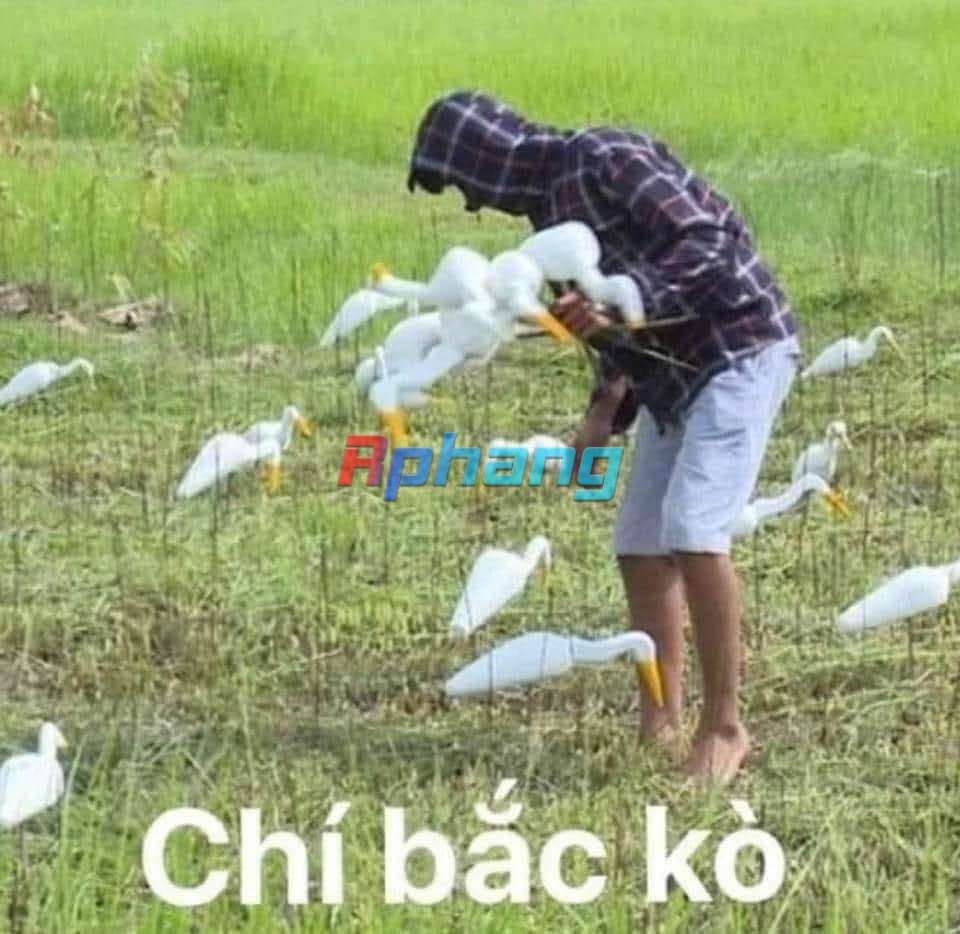 IMG_2458.jpeg