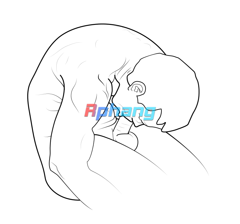1731306041029.png