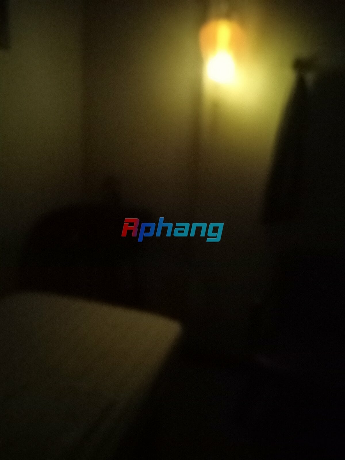 IMG20241114194306.jpg