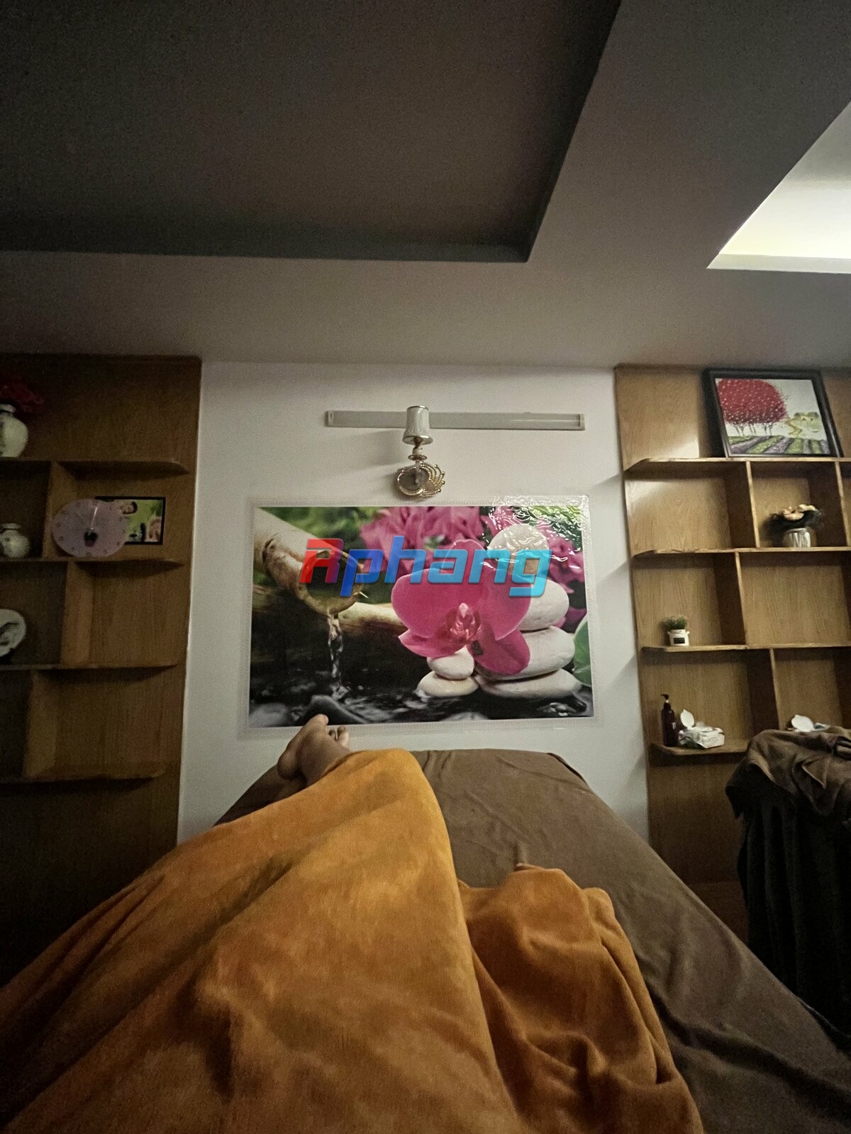 IMG_2017.jpeg