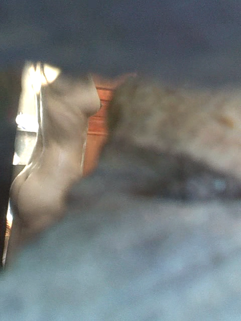 Pic nude (4).png