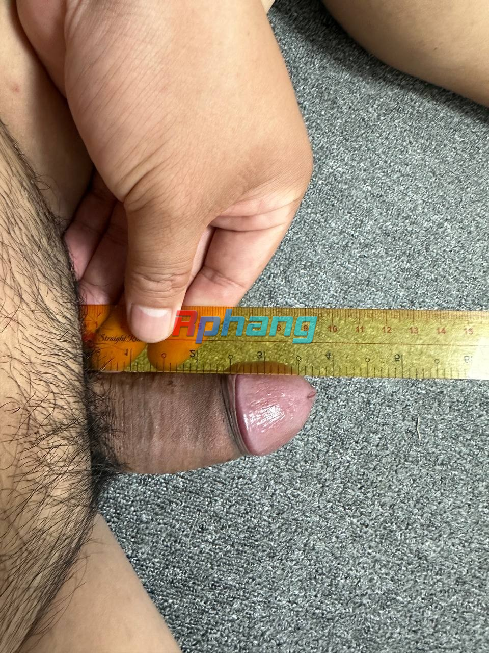 1732668394749.png