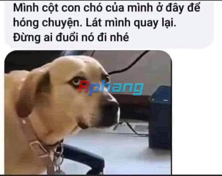 80B0EE48-E79F-4509-BC10-CB4B44CC3B68.jpeg