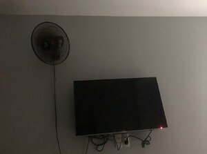 IMG_6320.jpeg