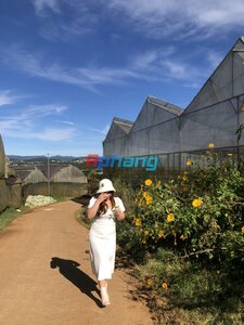 IMG_3343.JPG