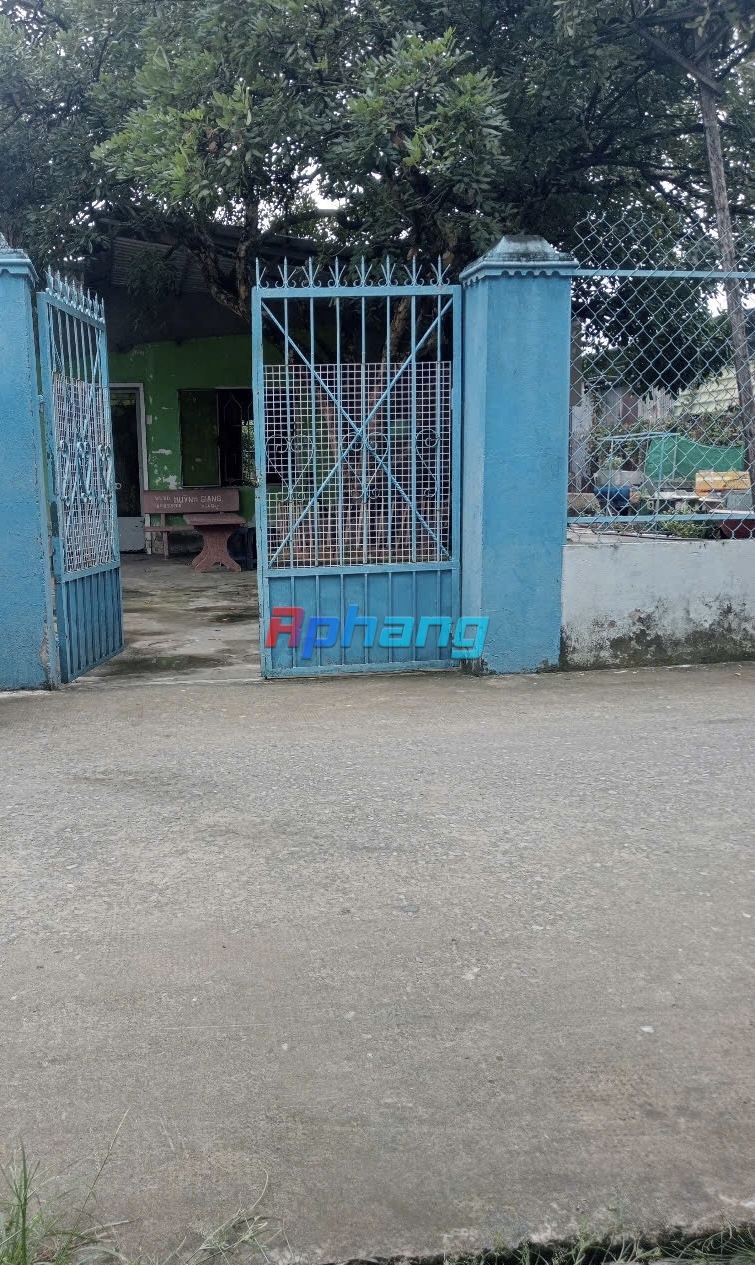 IMG_9606.jpeg