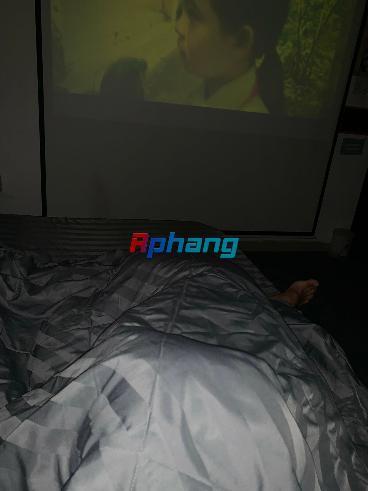 IMG_8081.jpeg