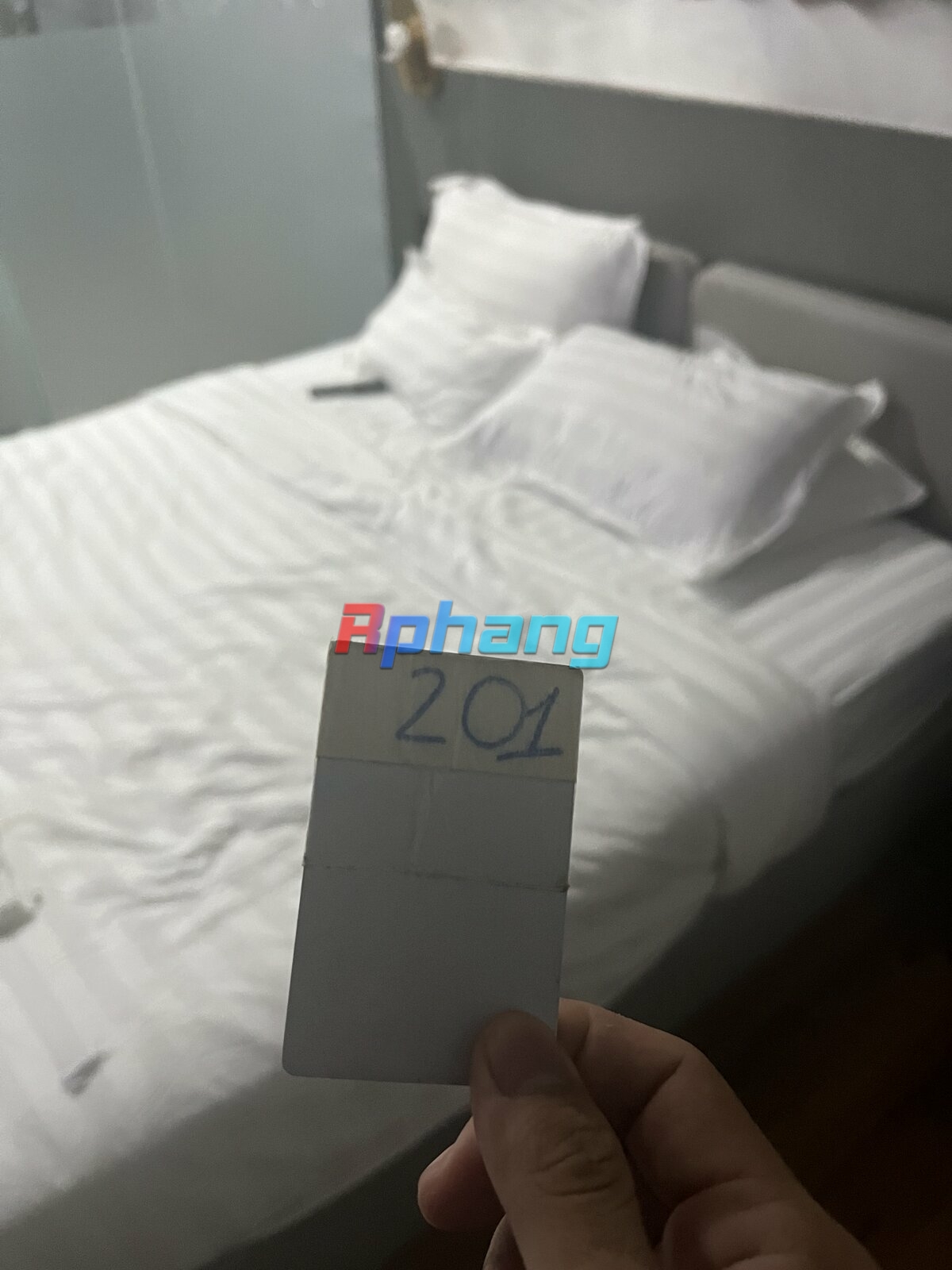 1735290438067.jpeg