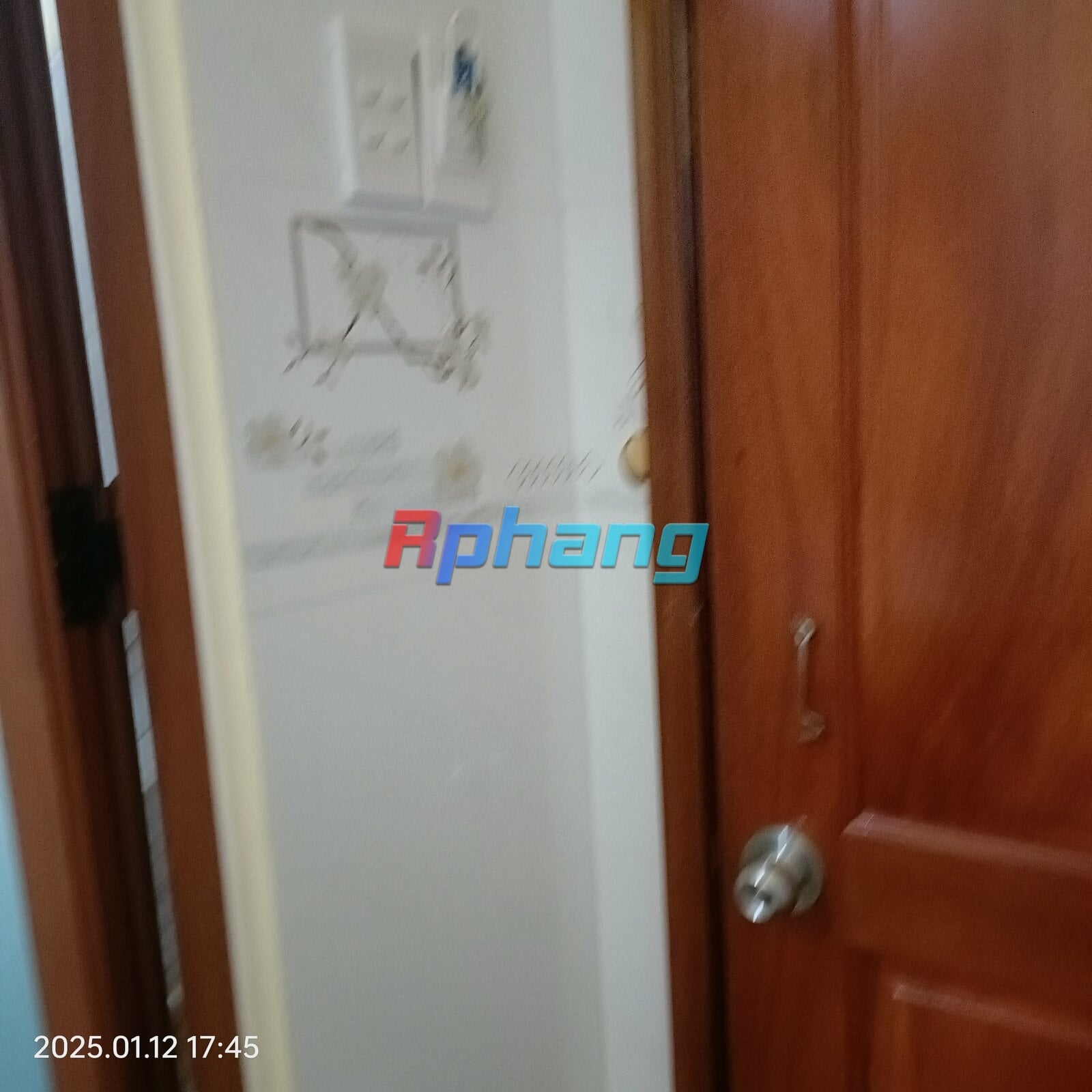 IMG20250112174506.jpg