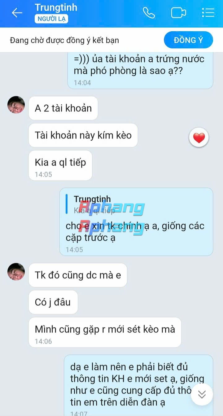 p8.jpg