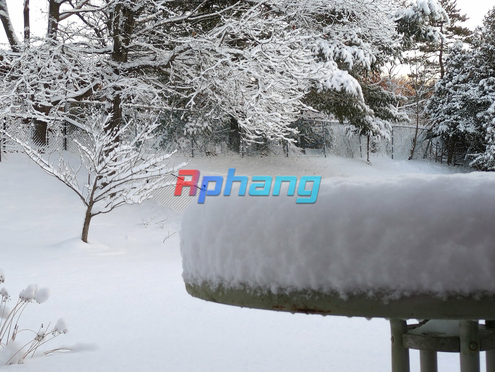 Snow_IMG_20250120_072347.jpg