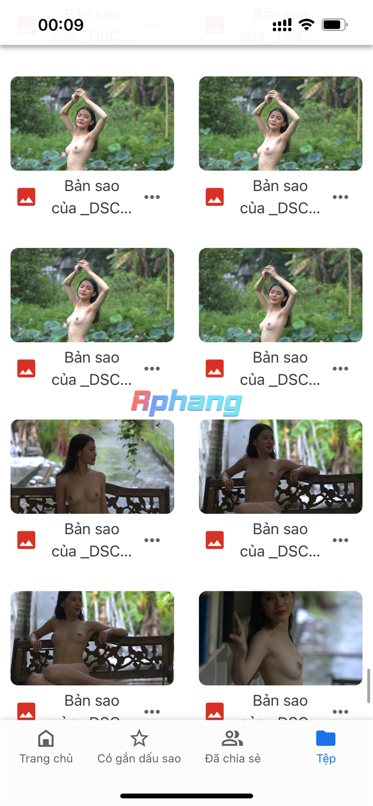 IMG_7665.png