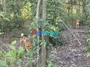 IMG_0359.jpeg