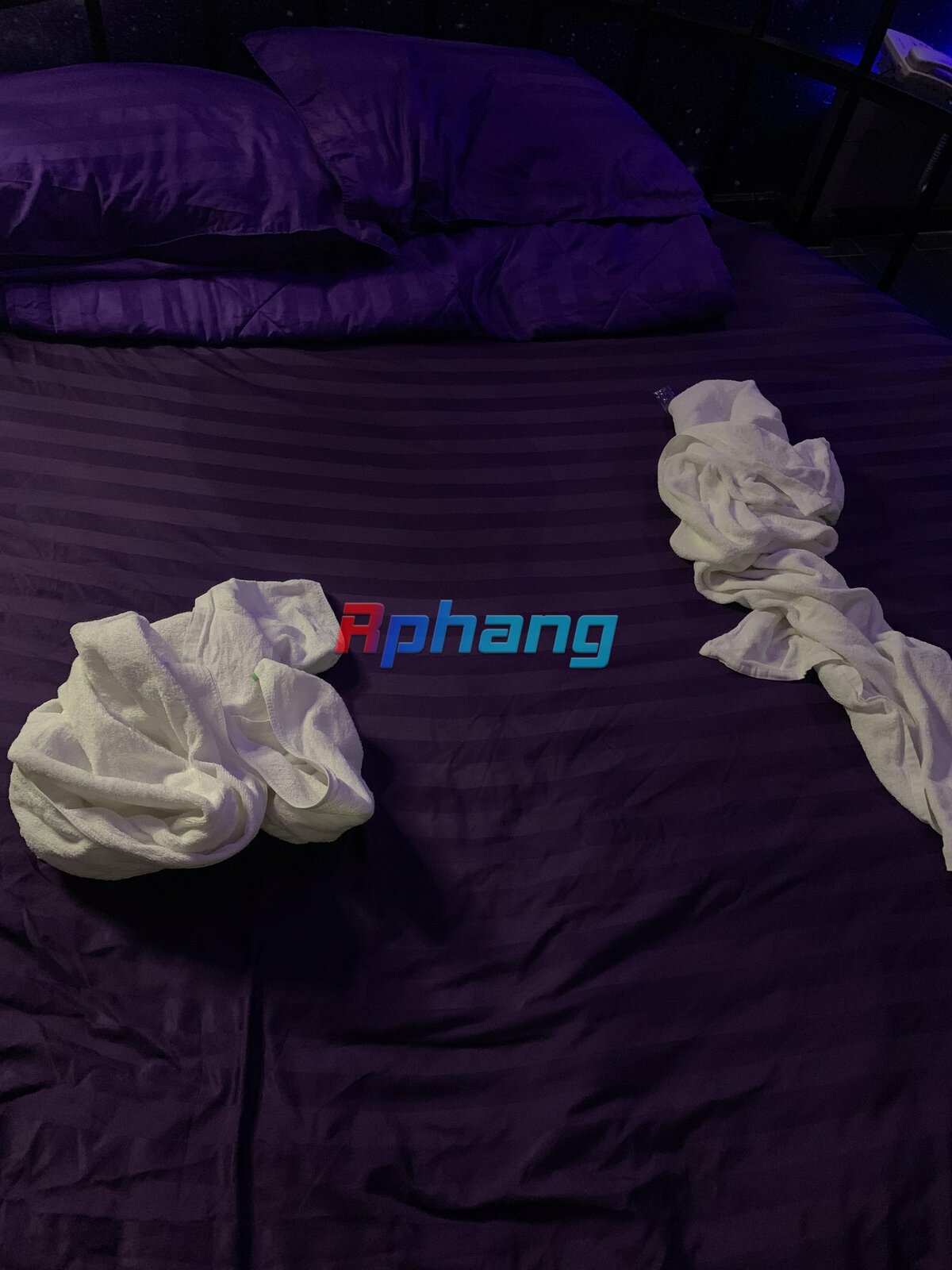 80792A84-AB2C-41DE-AF8D-6387B5A59925.jpeg