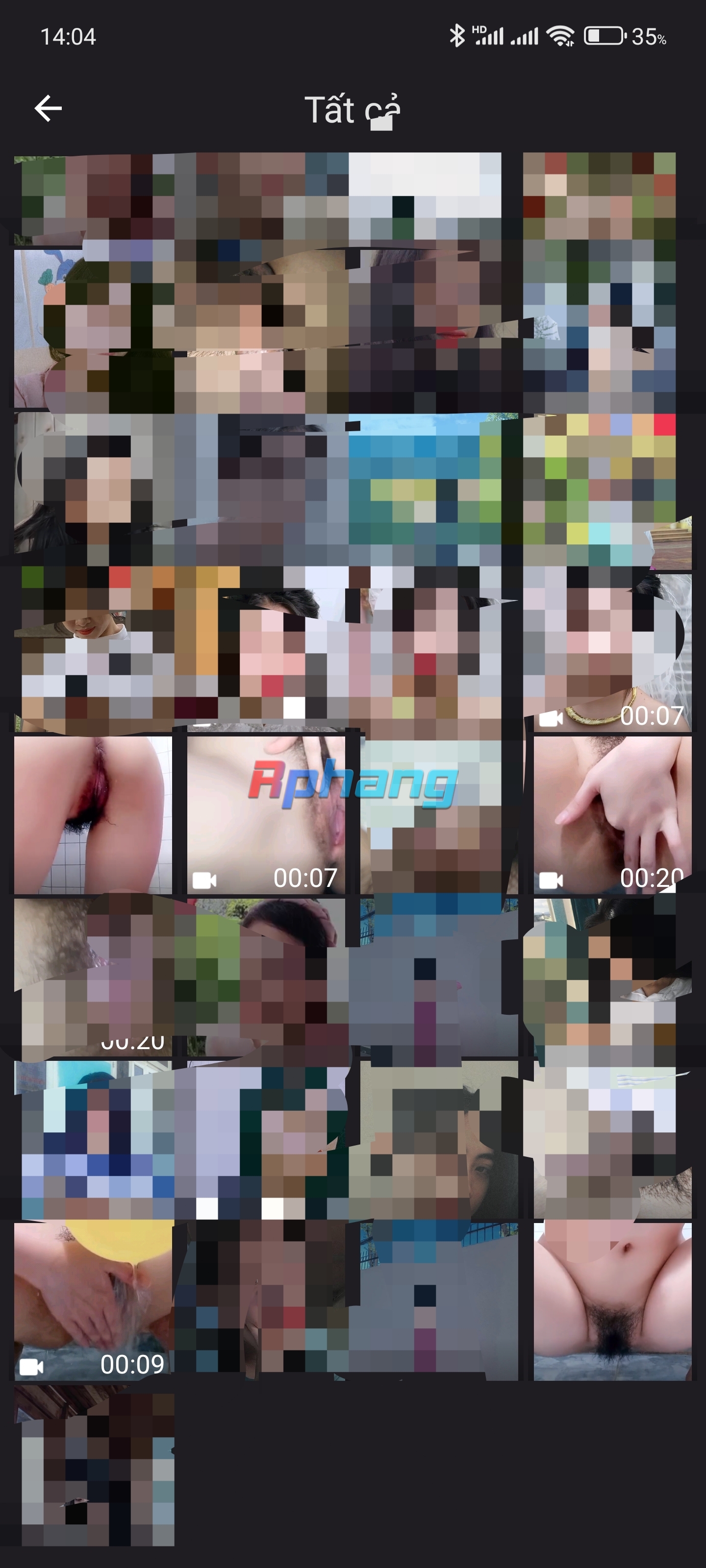 1000038452.jpg