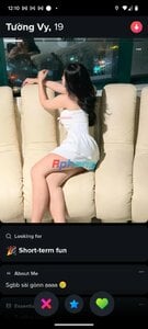 TV001.jpg