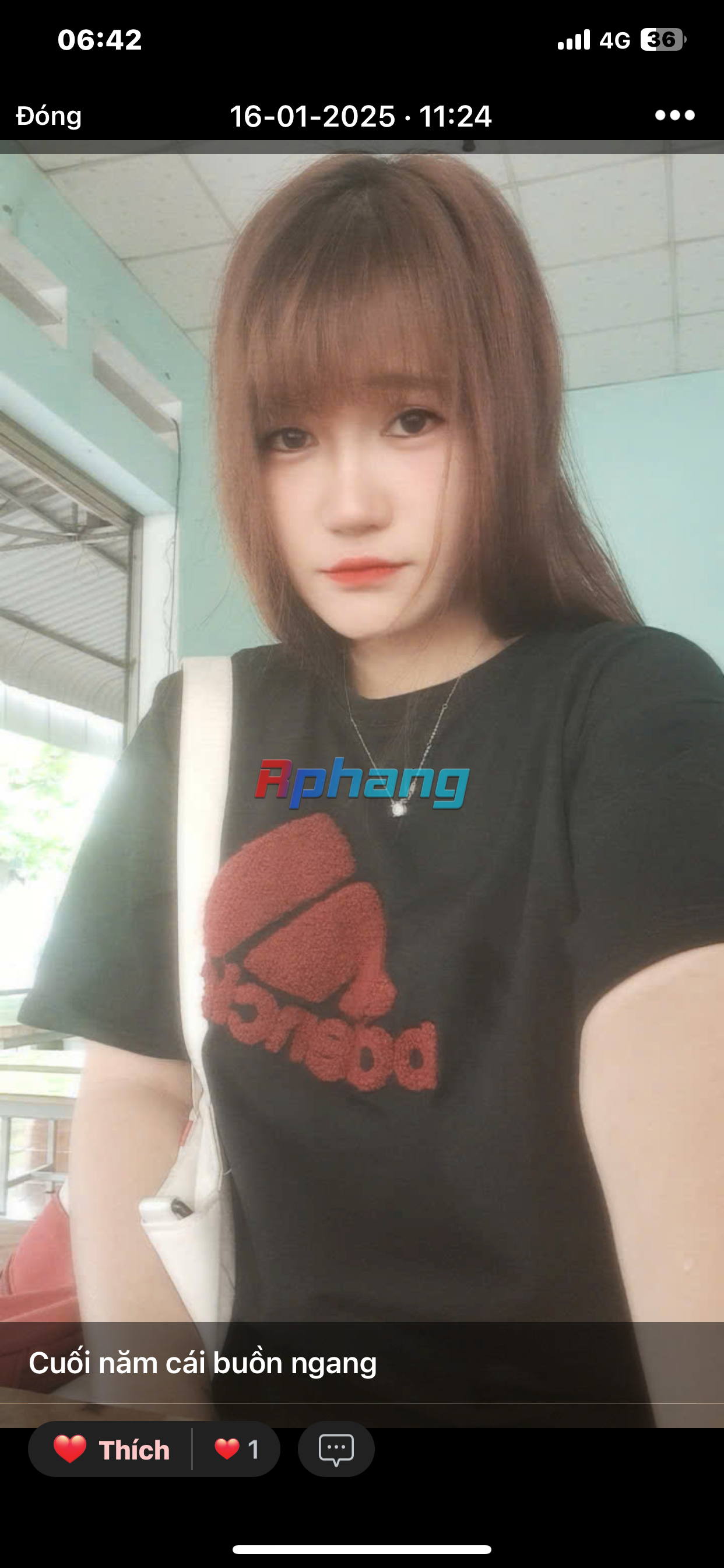 IMG_0968.png