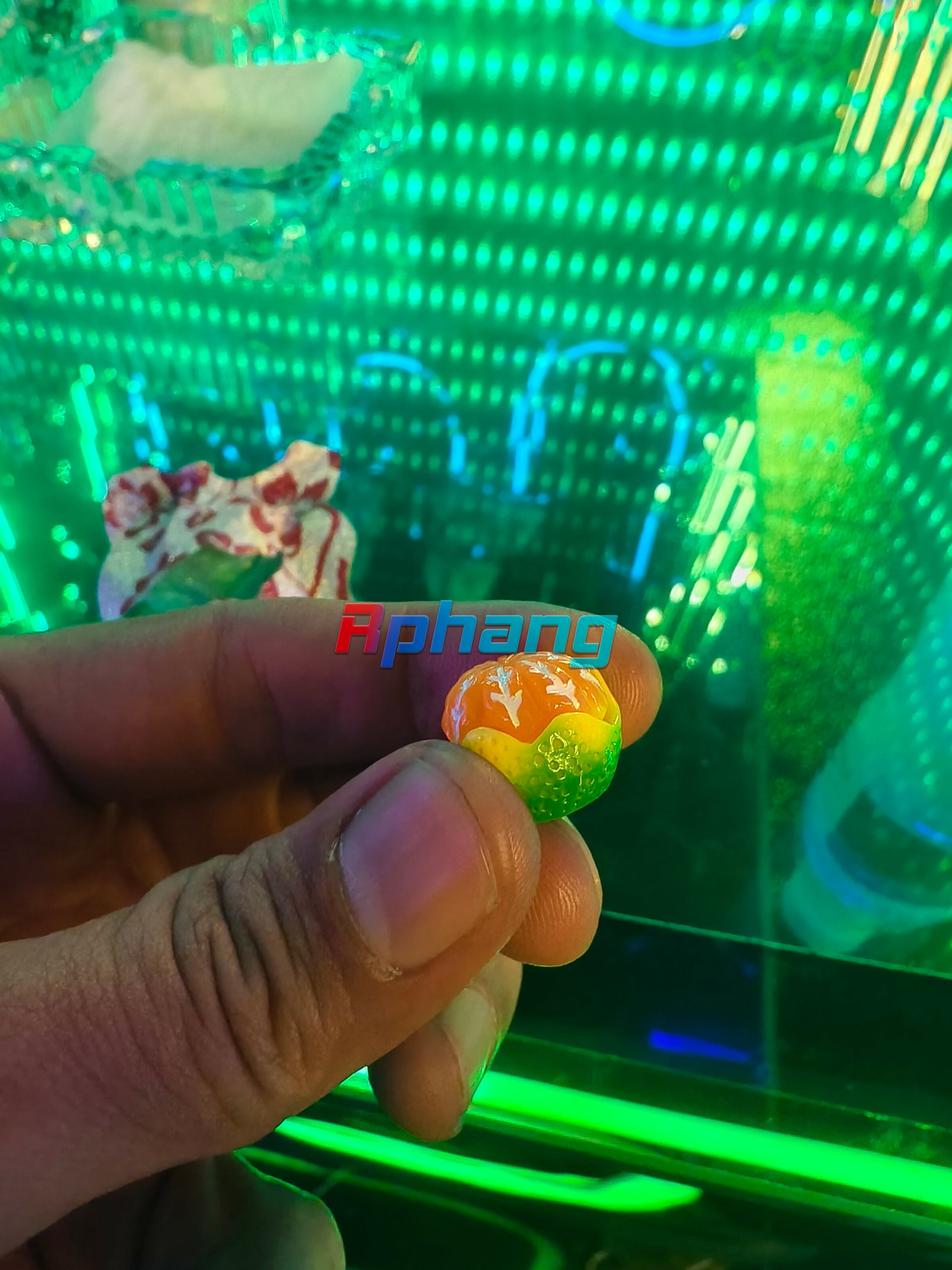 1000013717.jpg