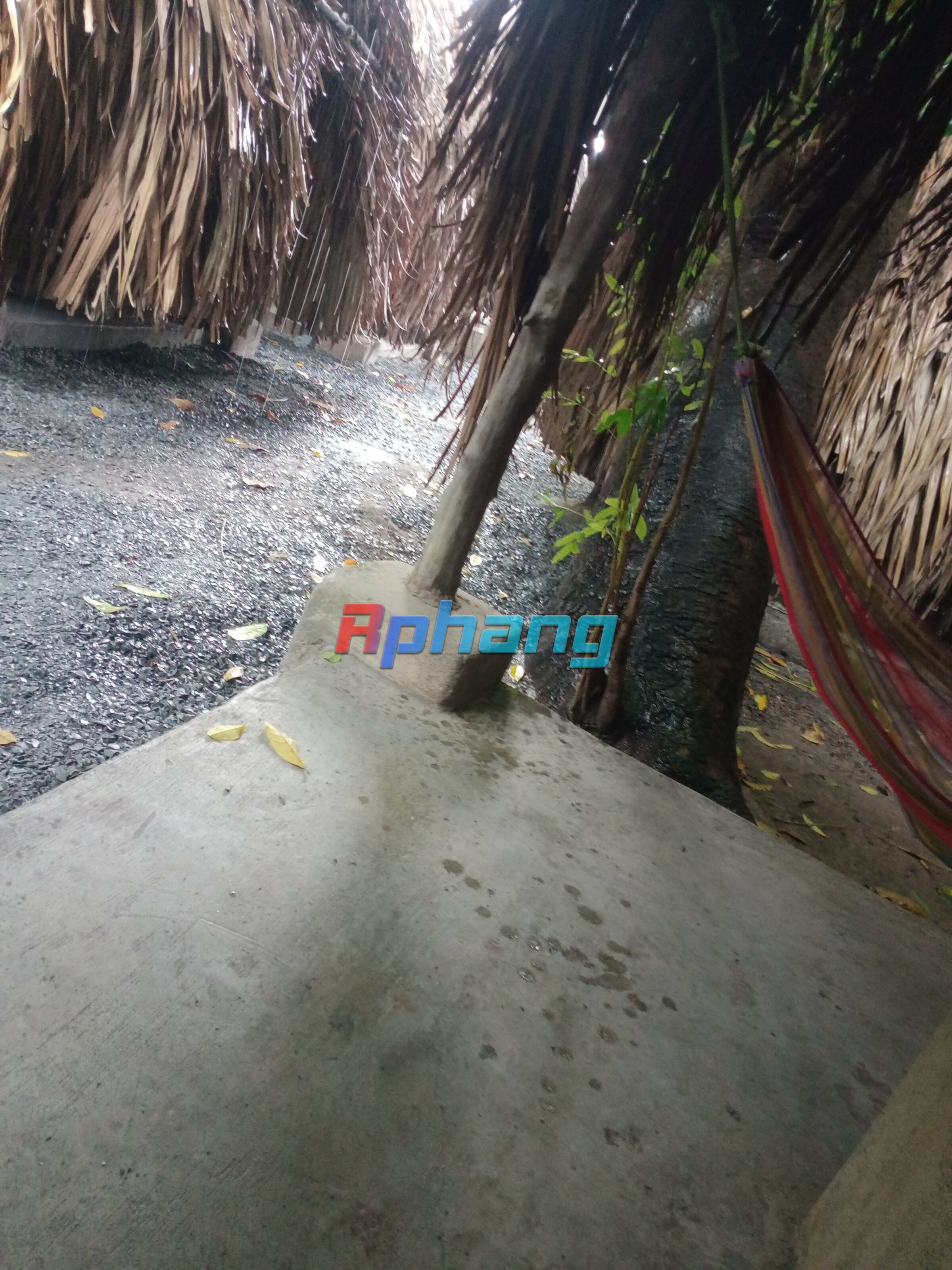 IMG20250312145750.jpg