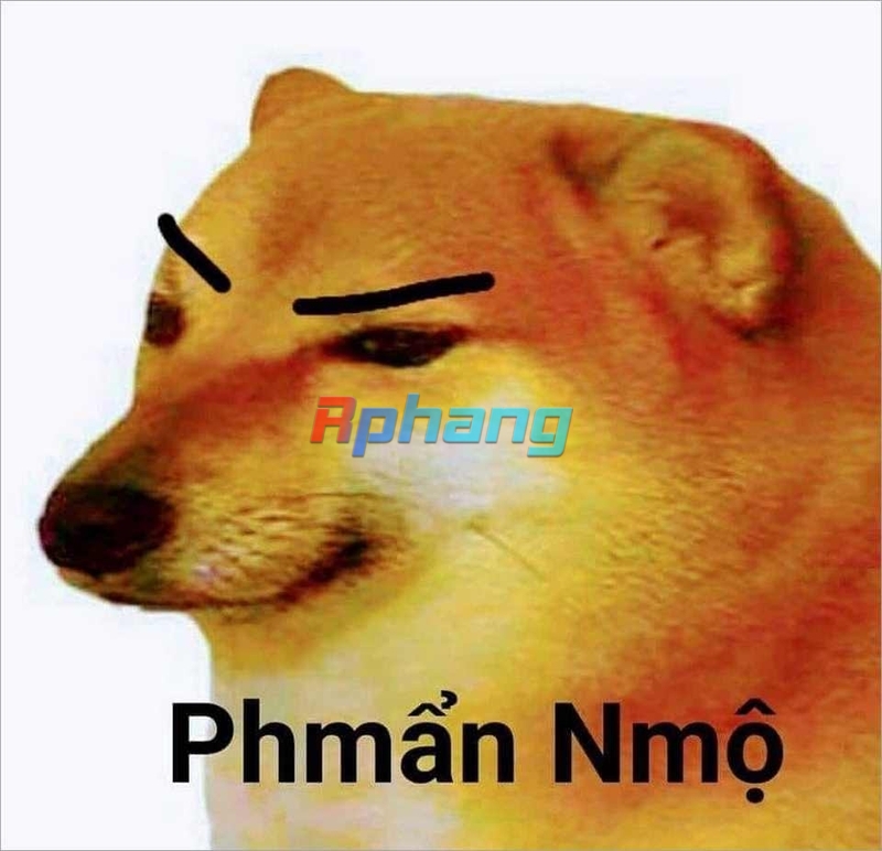 1000000058.jpg