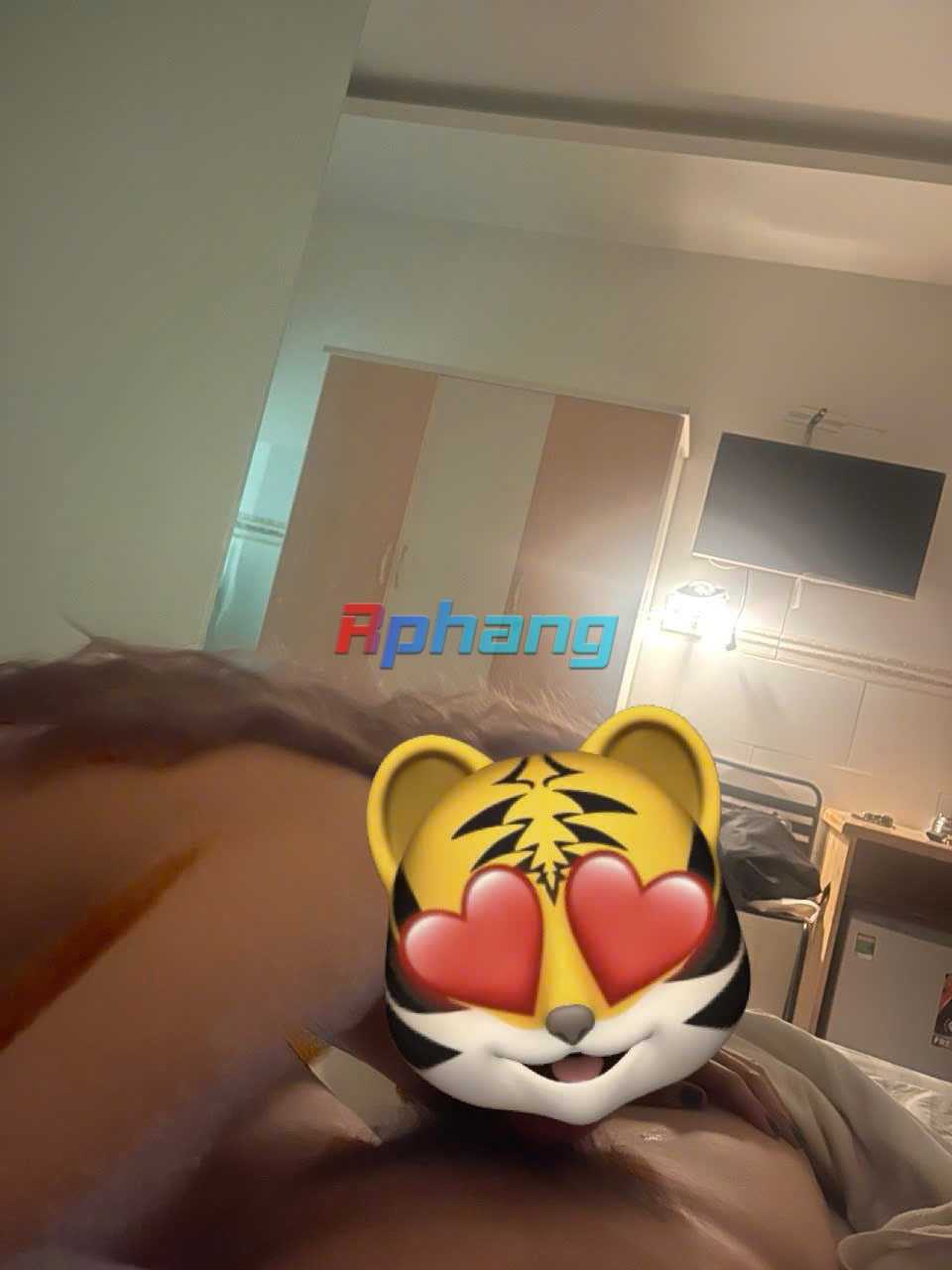 z6431162725081_e89e459eca2eec55127d193dc2c910ea.jpg