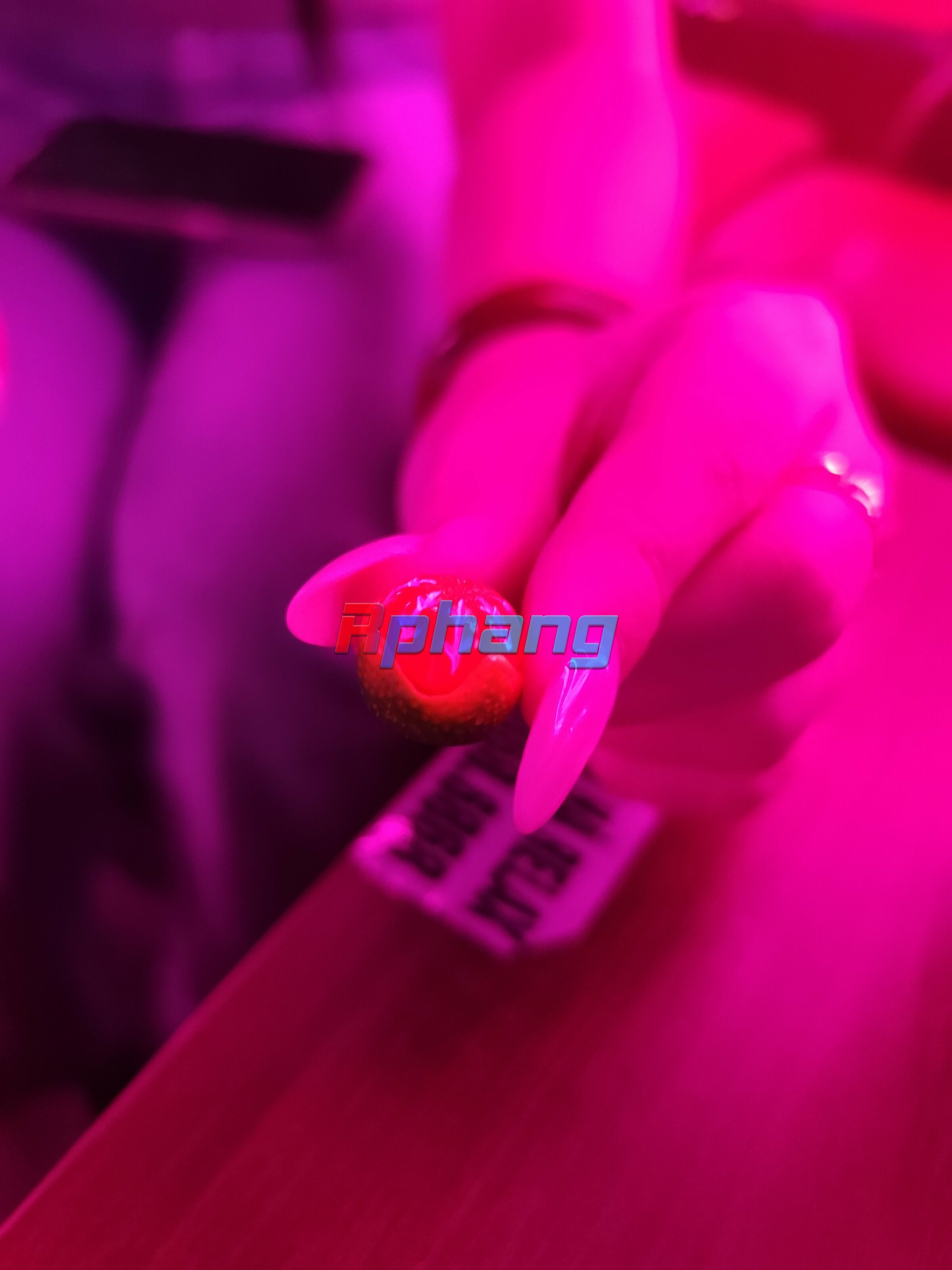 1000007225.jpg