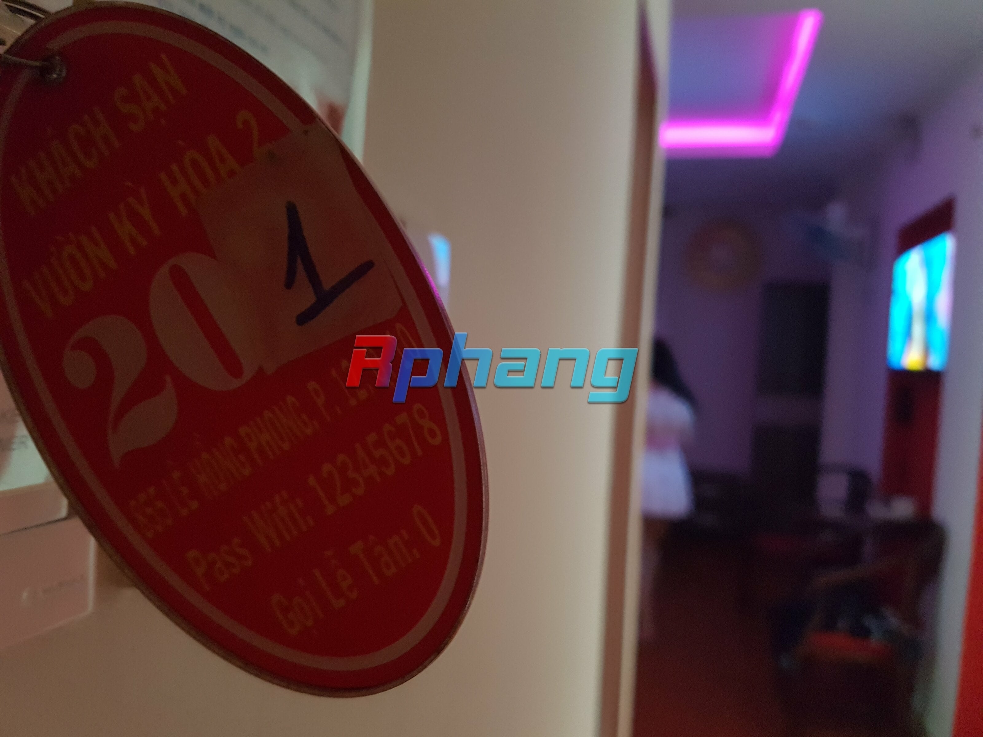 20250411_144445.jpg