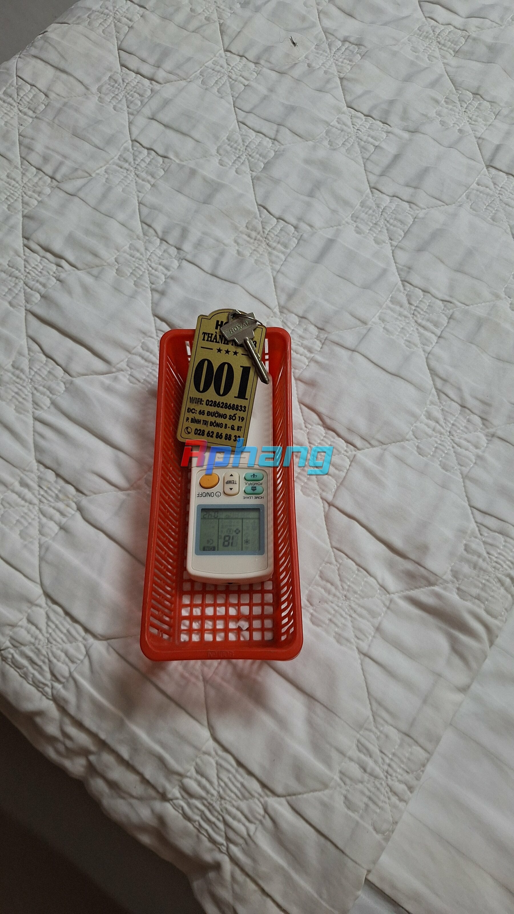 1000011402.jpg