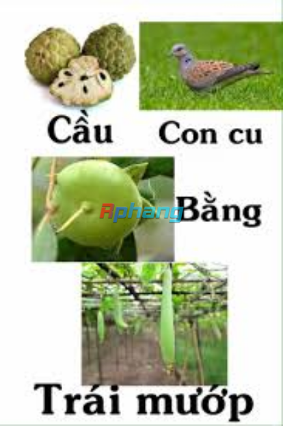 1744977451873.png