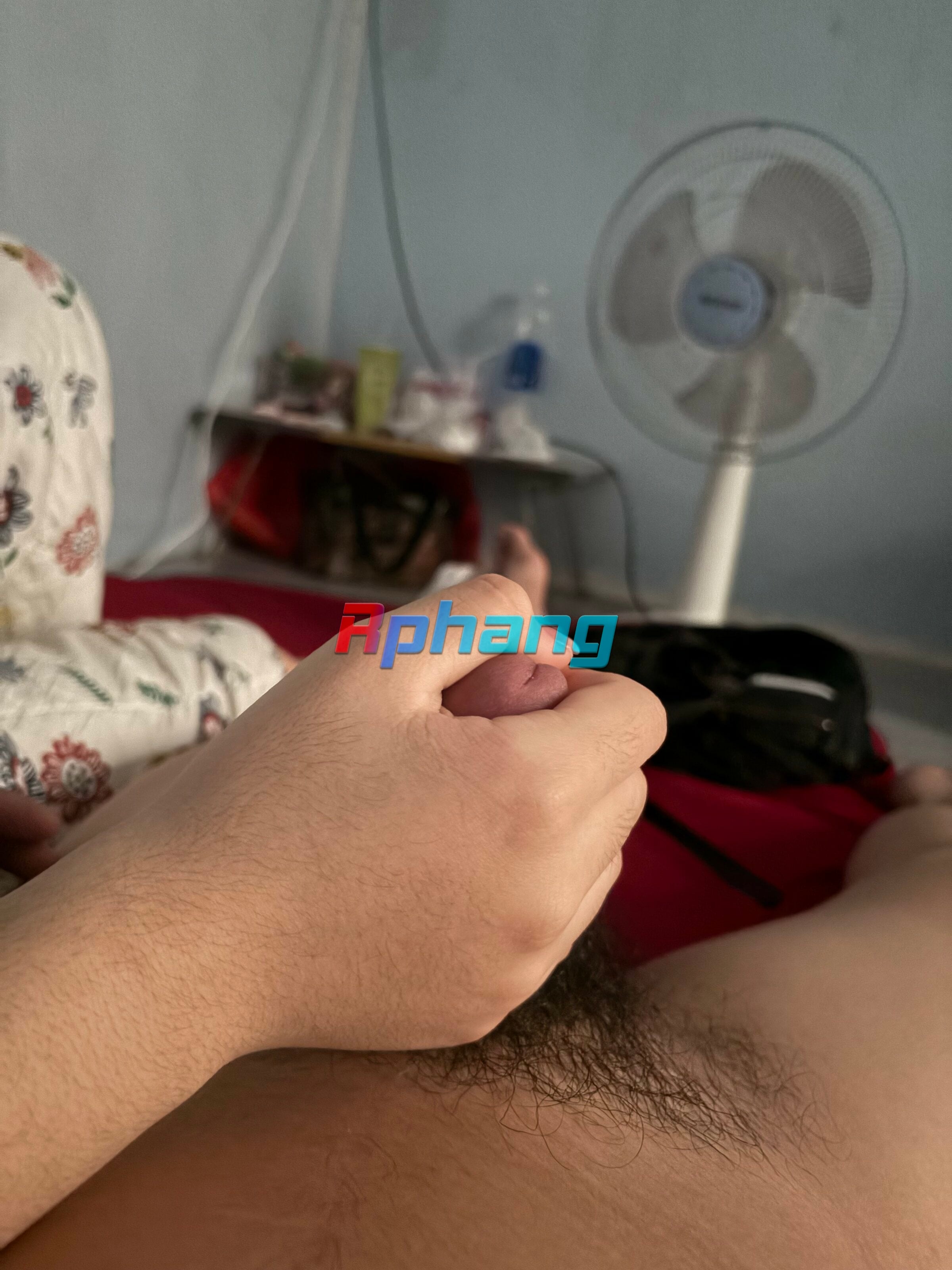 IMG_4884.jpeg
