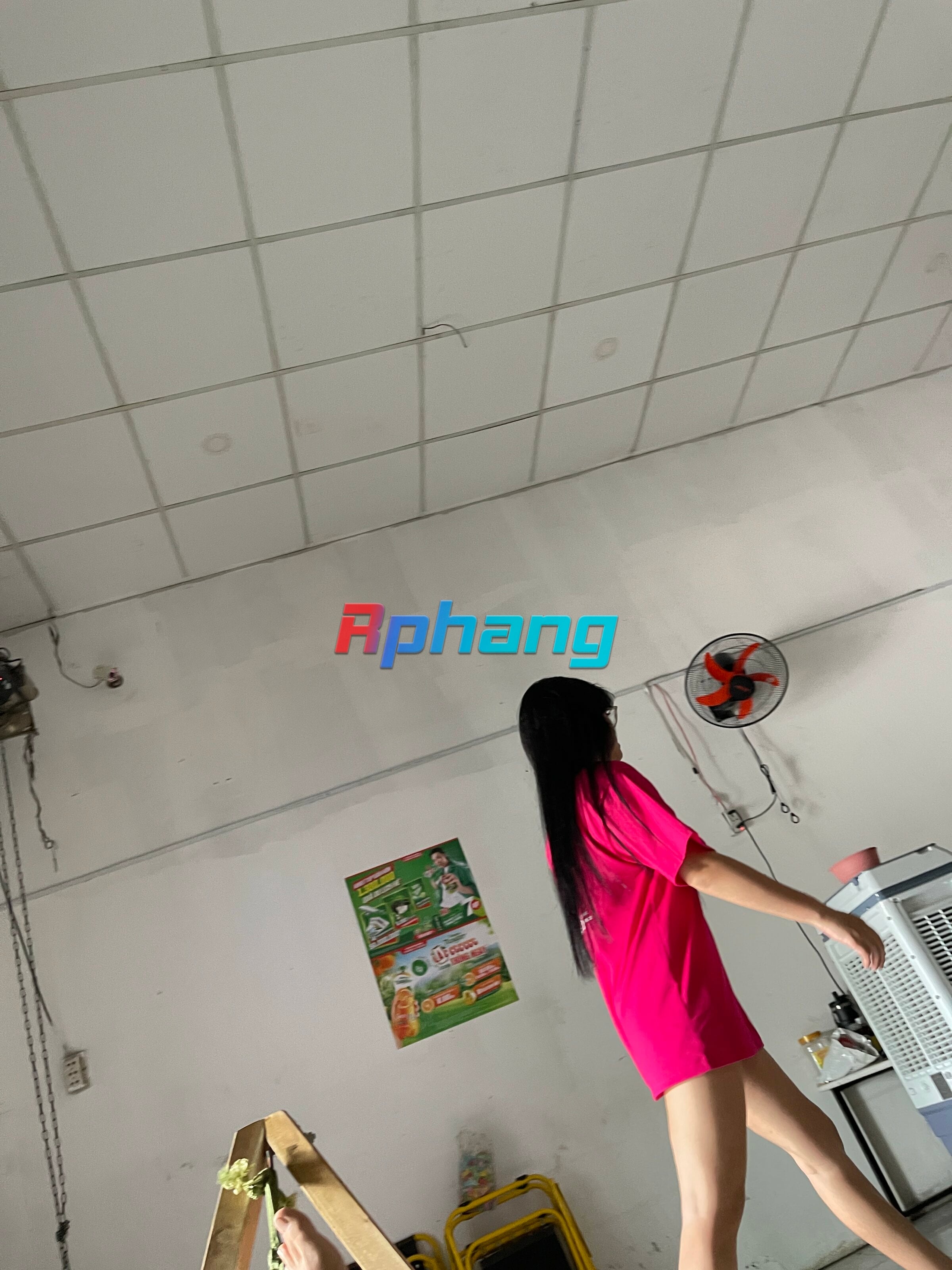 IMG_0739.jpeg