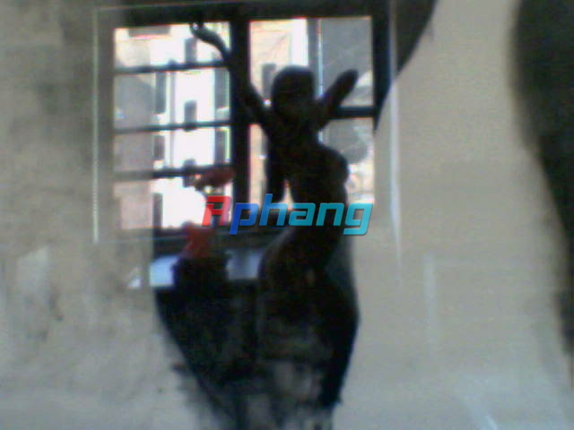 Picture11.jpg