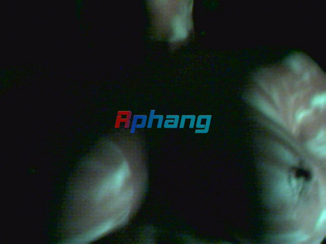 Picture52b.jpg