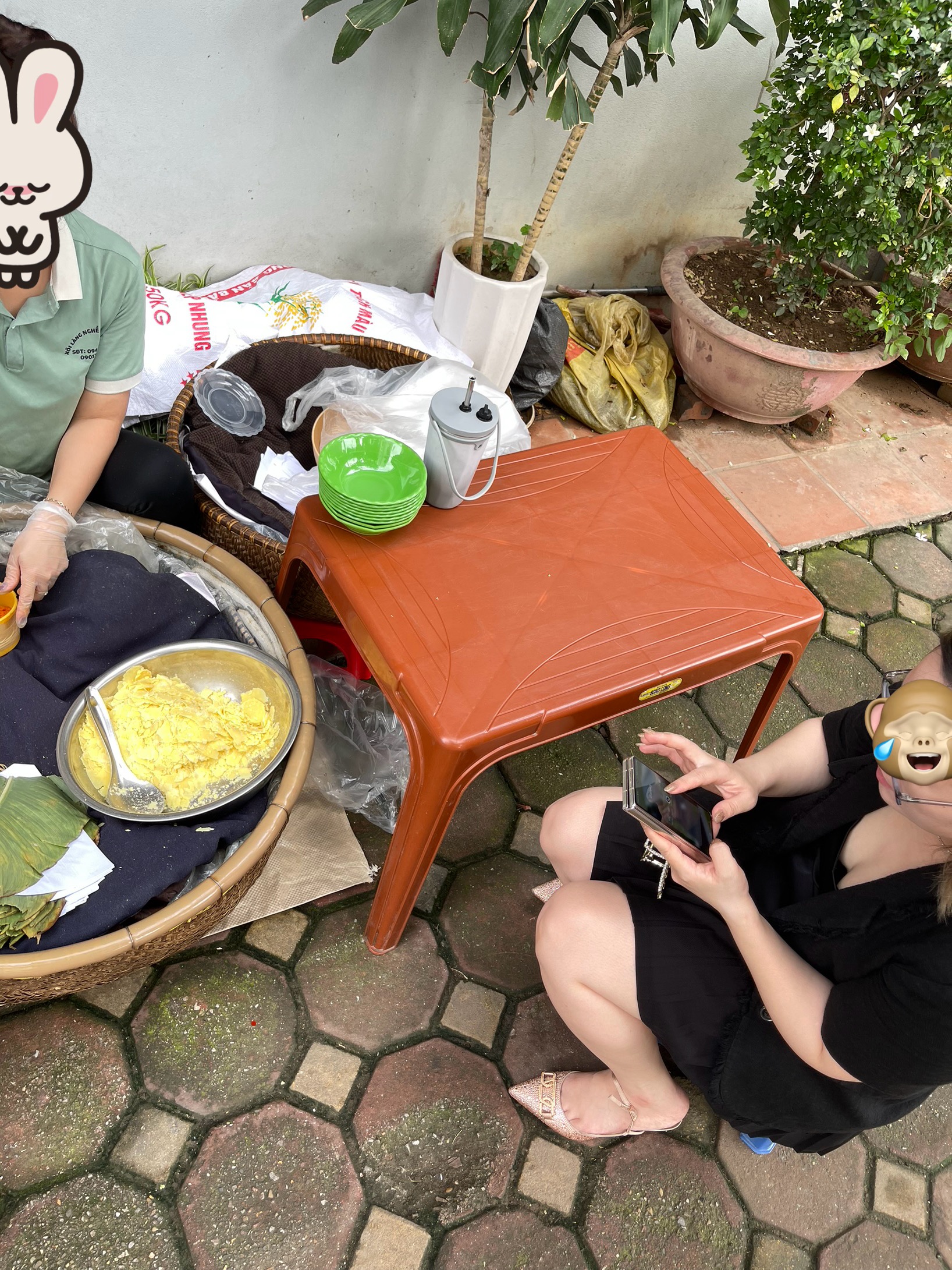 IMG_2678.jpeg