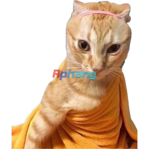 1748976546593.png