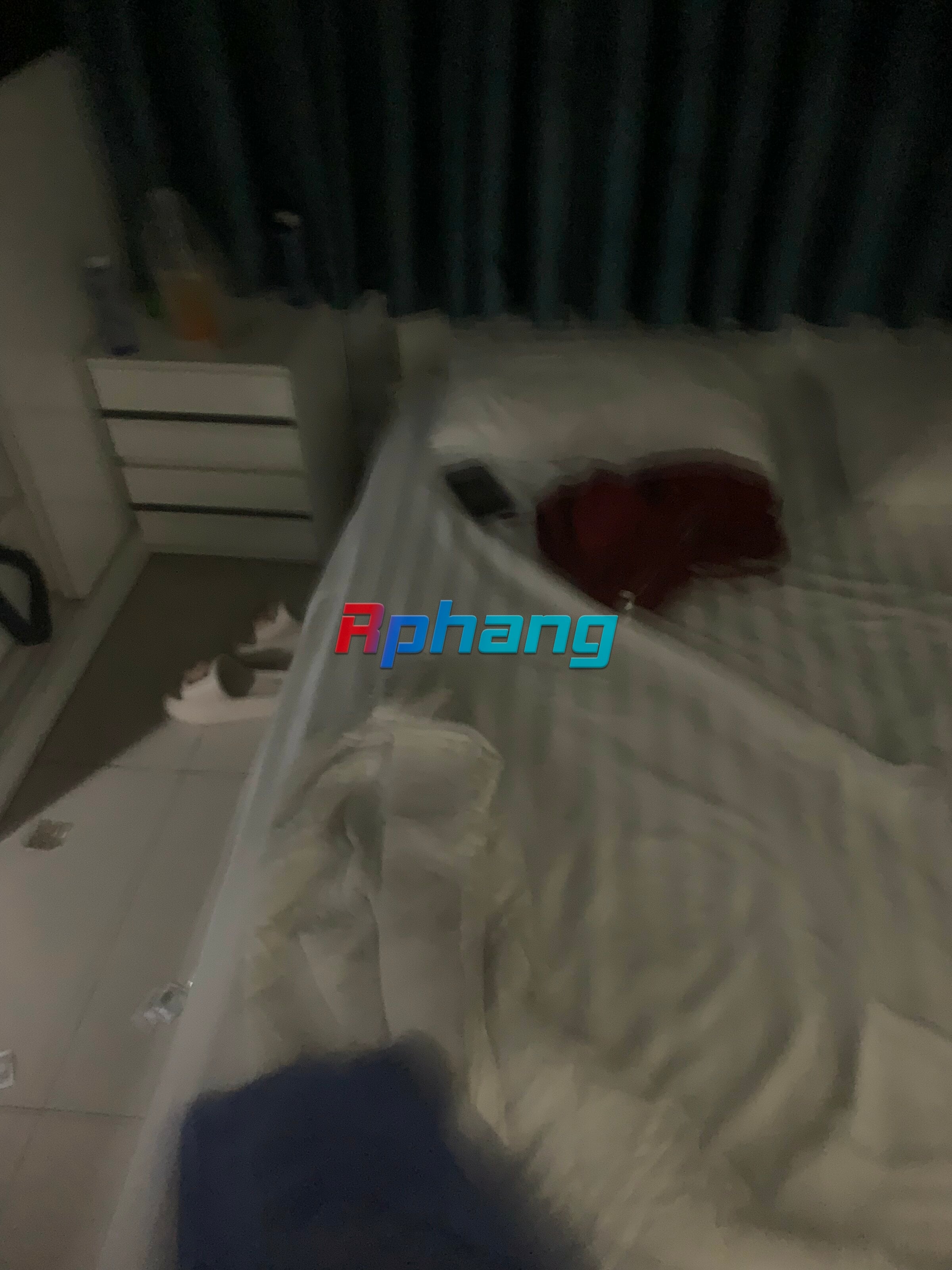 IMG_3753.jpeg