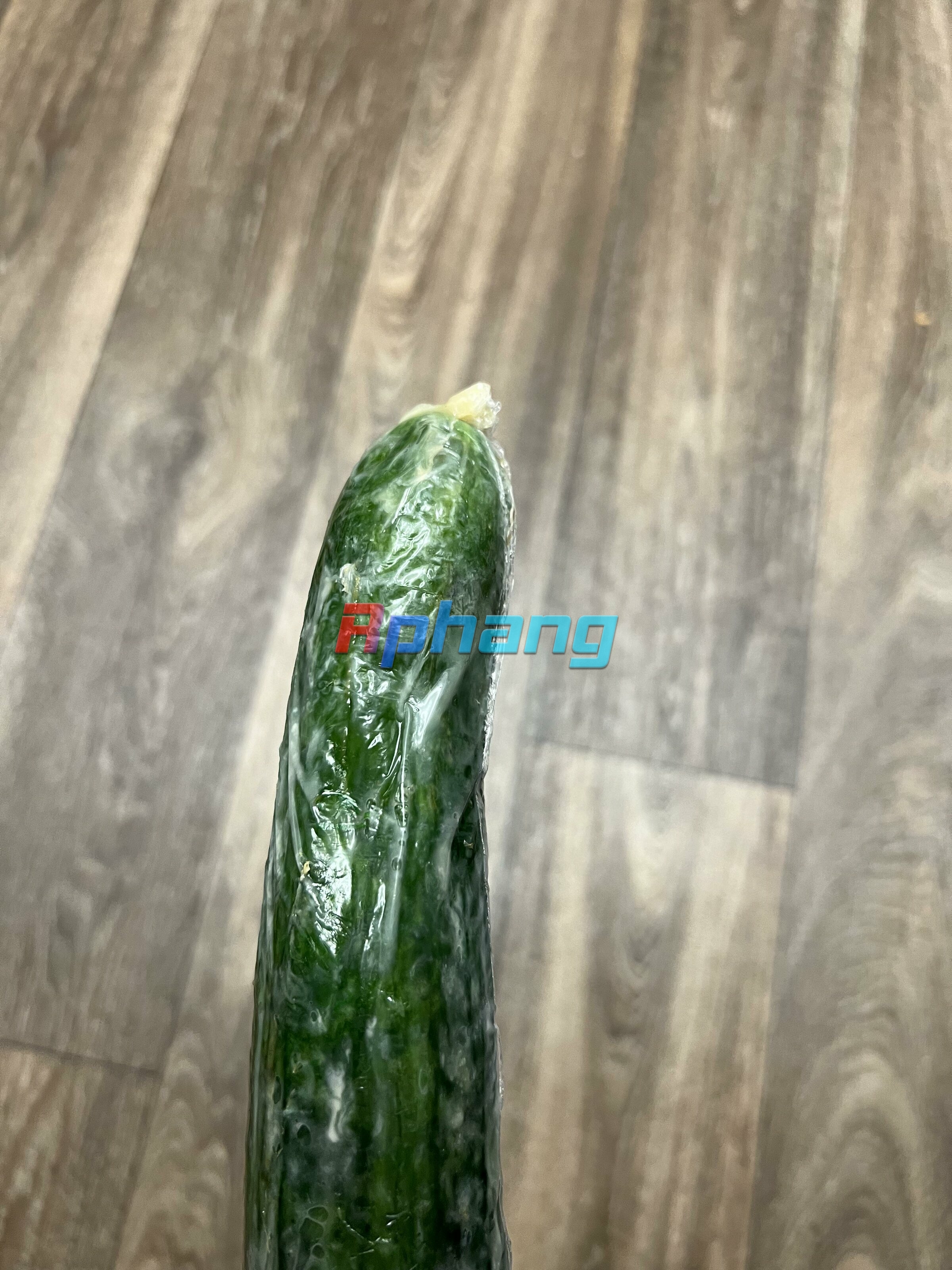 1000004034.jpg