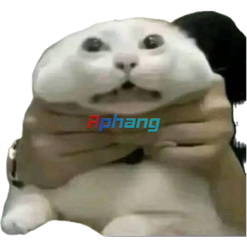 1749029631443.png