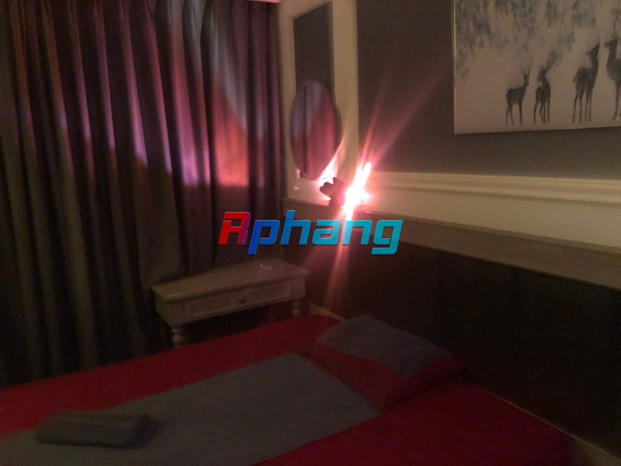 IMG_8799.JPEG
