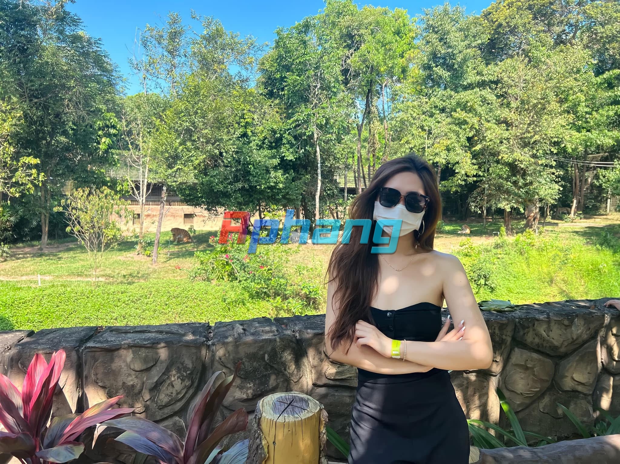 IMG_0934.jpeg