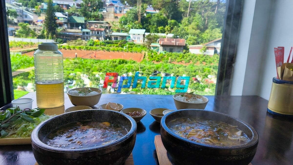 Trí Quang
