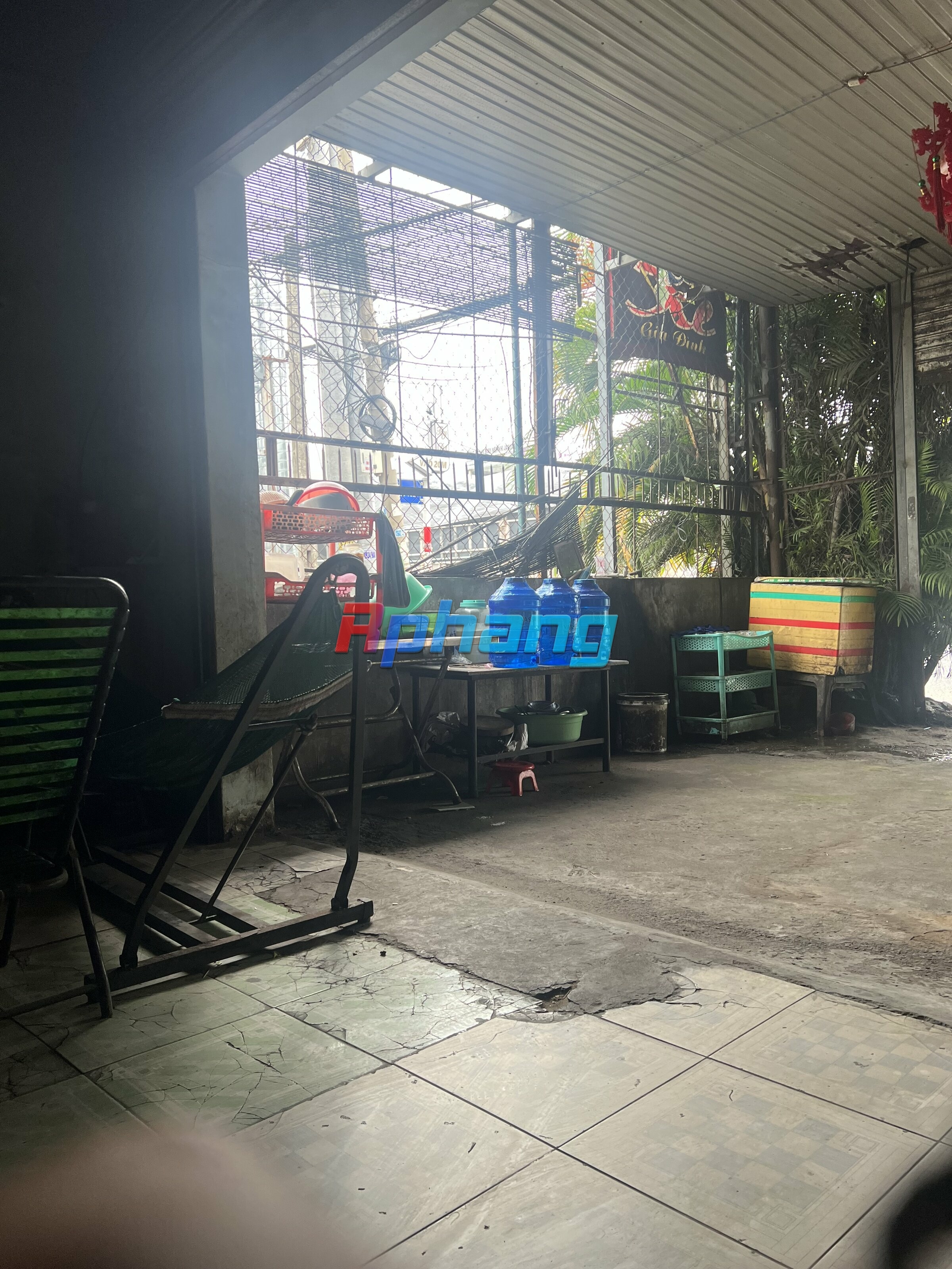 IMG_2806.jpeg