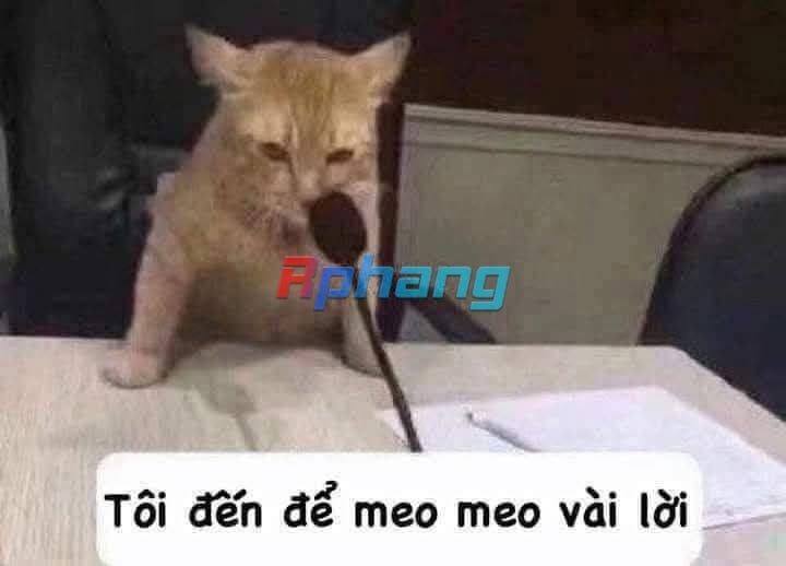 FB_IMG_1754067038051.jpg