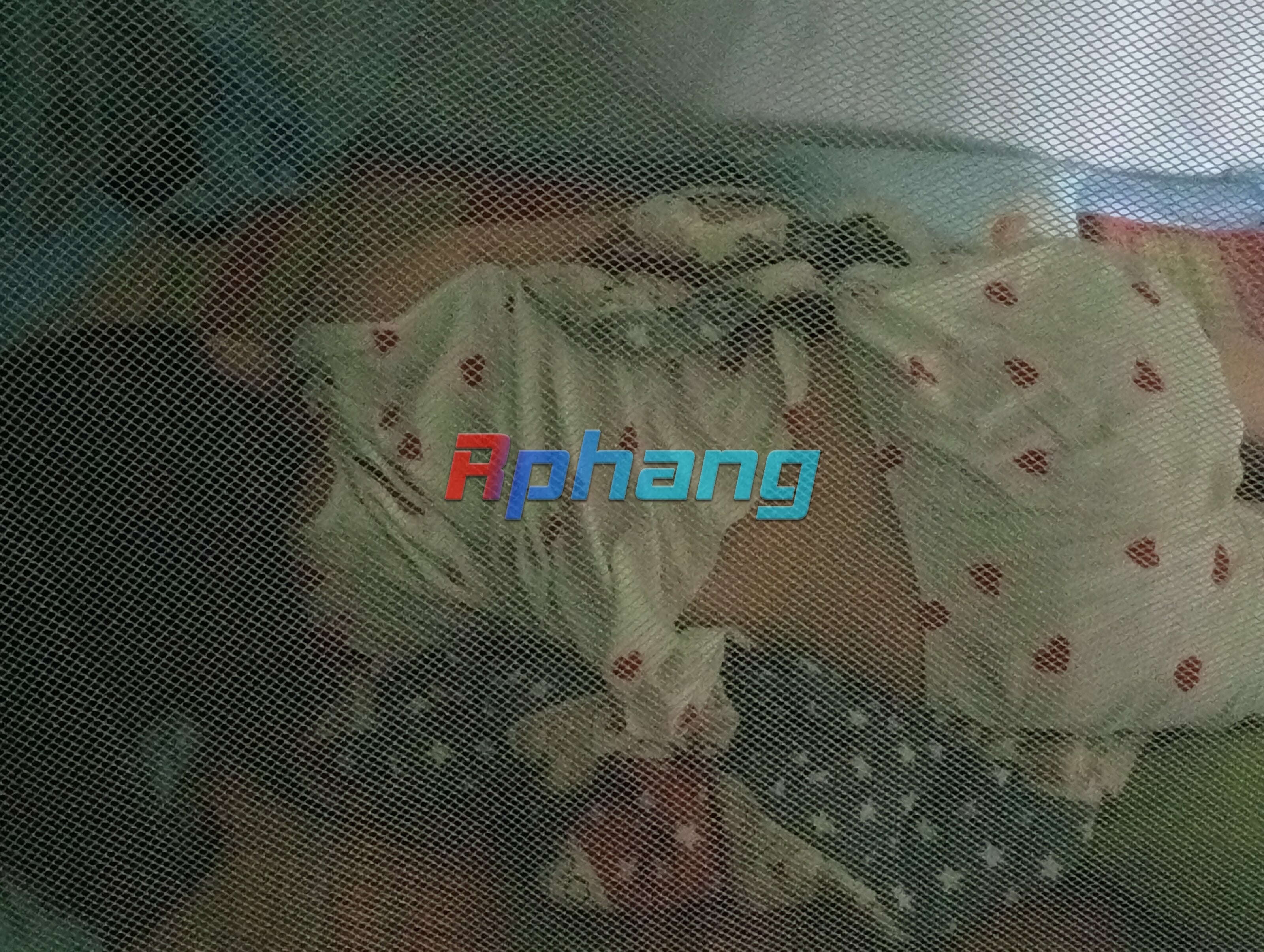 IMG20250813074435.jpg