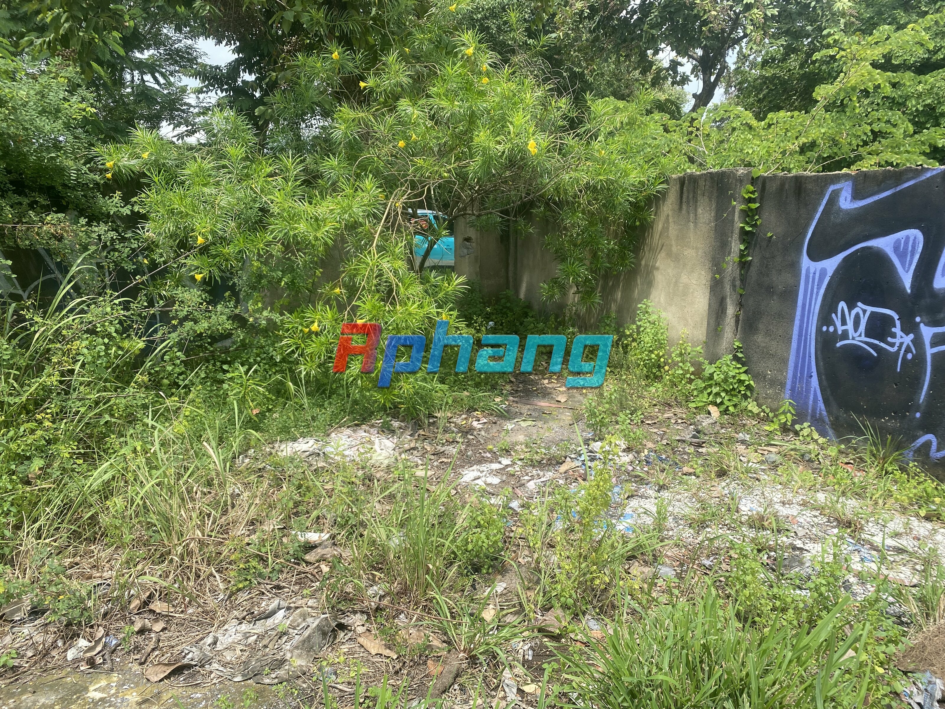 IMG_0338.jpeg