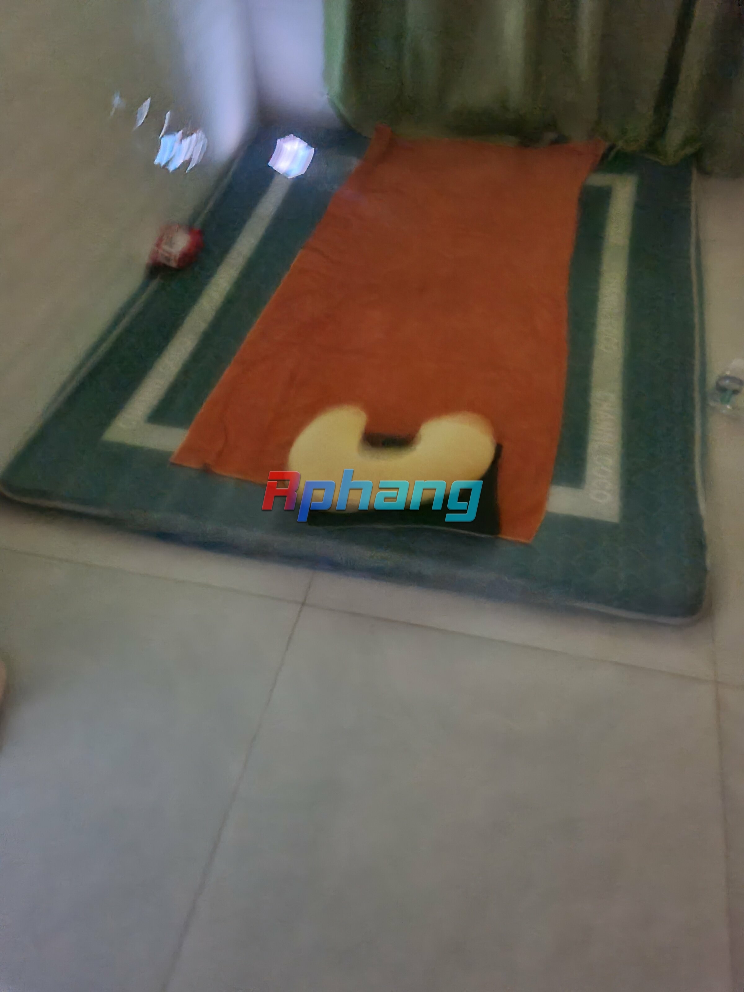 20250831_160440.jpg