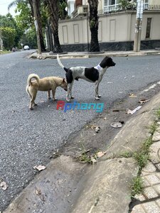 IMG_0960.jpeg