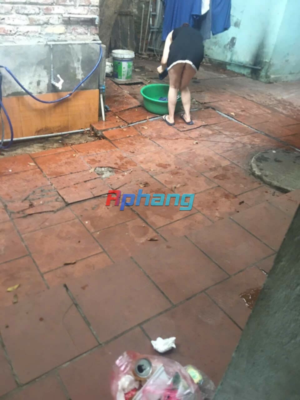 IMG_0377.jpeg
