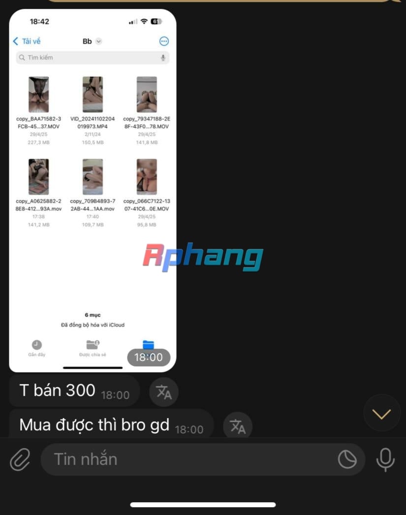 IMG_9679.jpeg