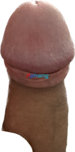 1758178507448.png
